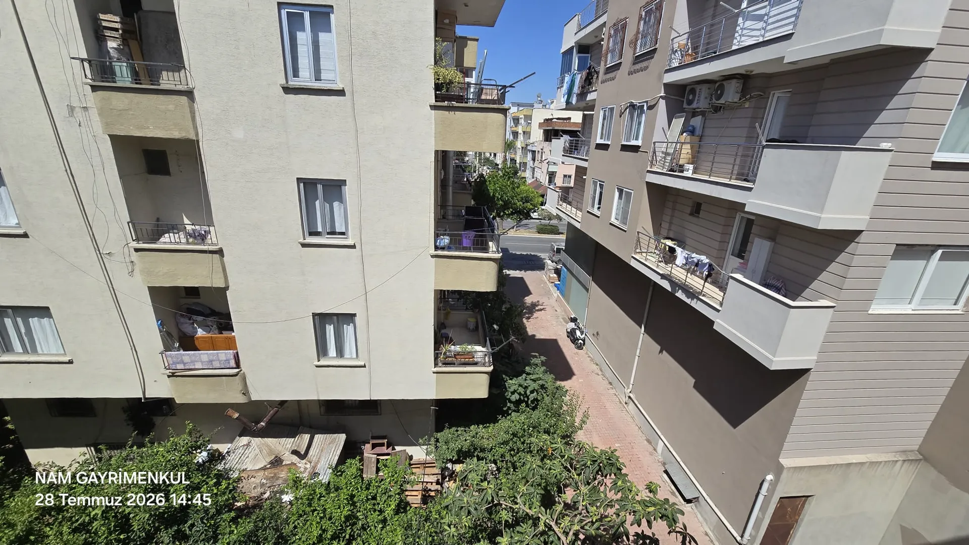 Önizleme
